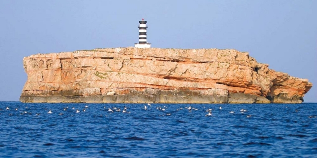 Contemplando el faro