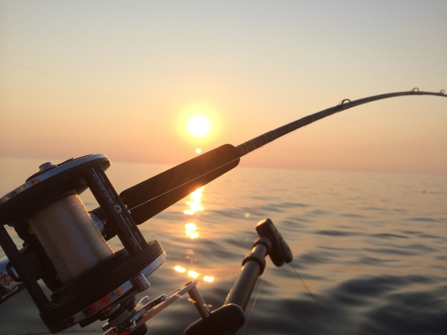 fishing-844970_960_720.jpg