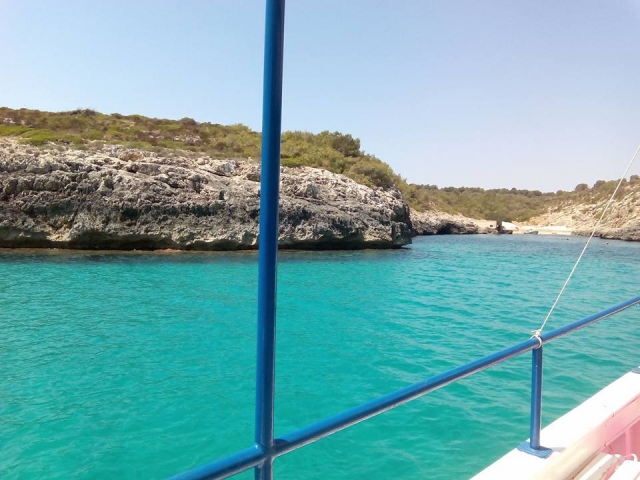  清澈见底的海水 