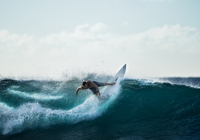 Profesional del surf