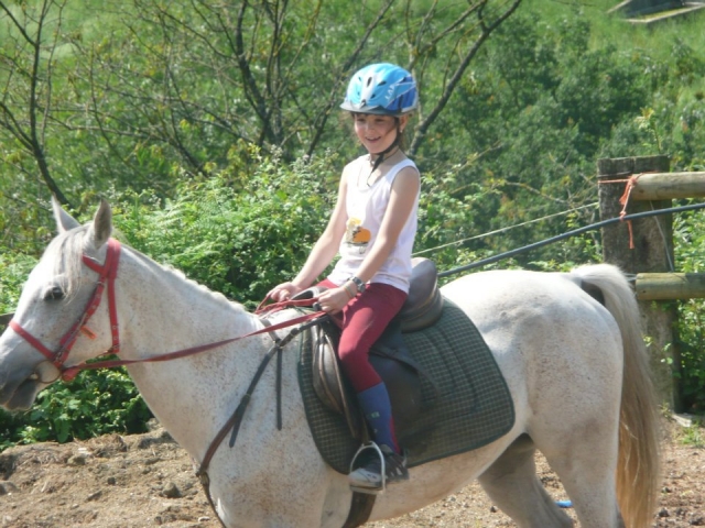 Paseos a caballo