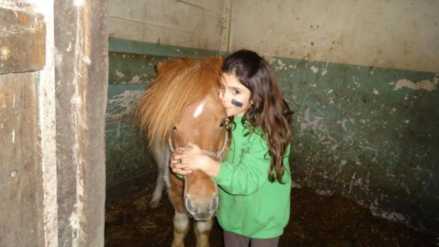 Amor por los ponys