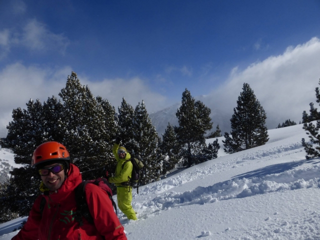  Foc cart con gli sci 