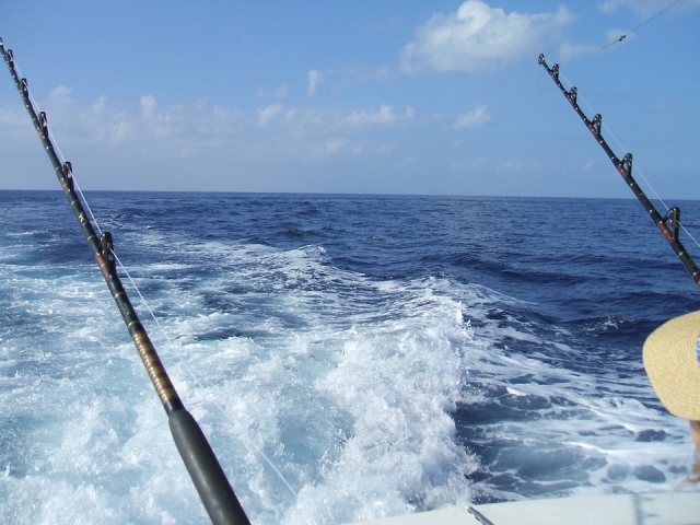 fishing-577514_960_720.jpg