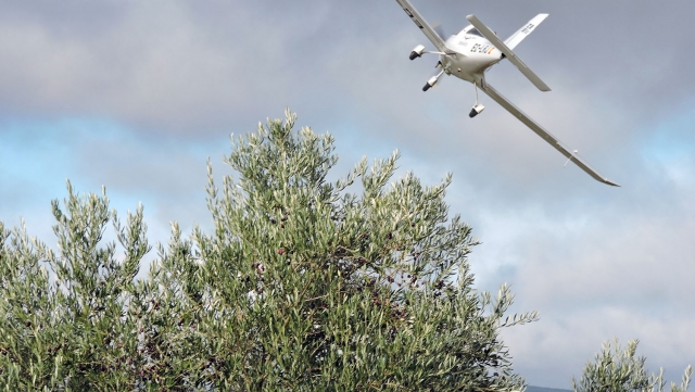 Bautismo de vuelo