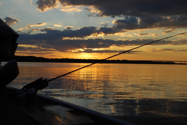 Desde el barco