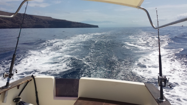  Passeios de barco 