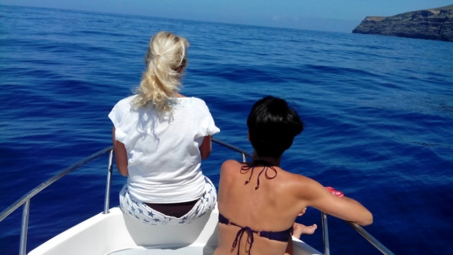 Disfrutando del sol