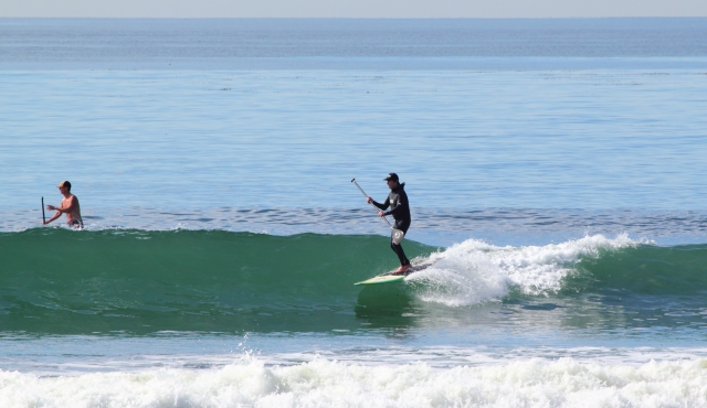 Stand-Up_Paddle_Surfer_at_Cardiff_Reef,_California.jpg