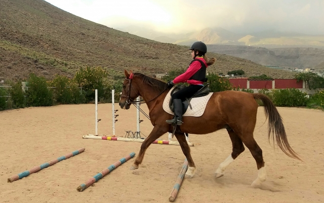  Franchir des obstacles à cheval 