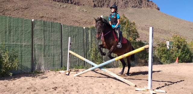  Saut d'obstacles 