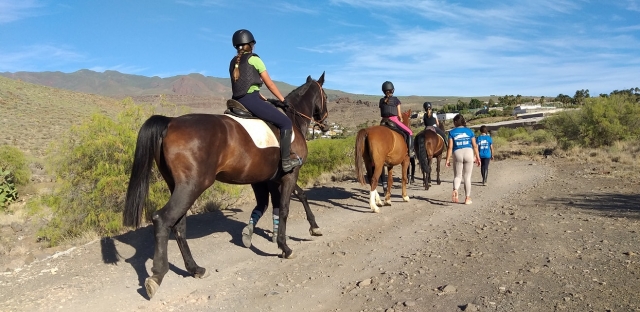  Itinéraire équestre à travers Gran Canaria 