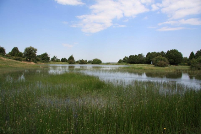 Preciosos campos de Arcones