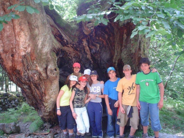 Campamento en Navarra