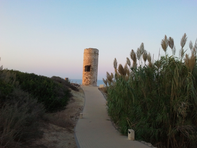 Torre del puerco