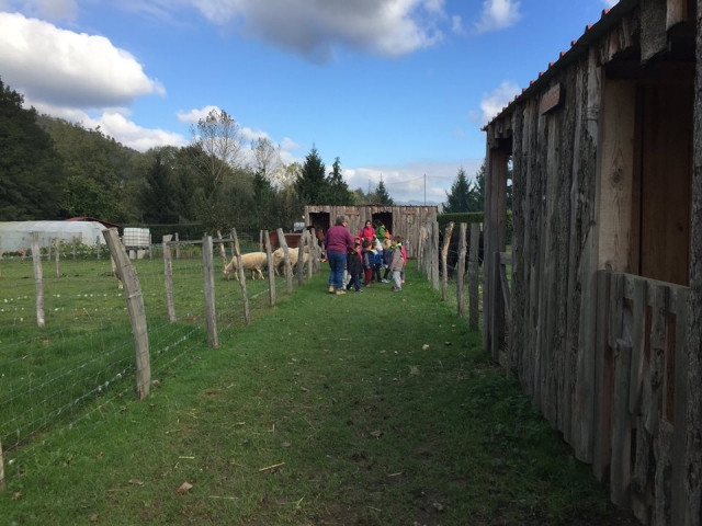 Visita a la granja escuela