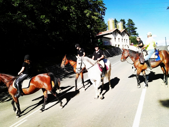  Cruzando la carretera 