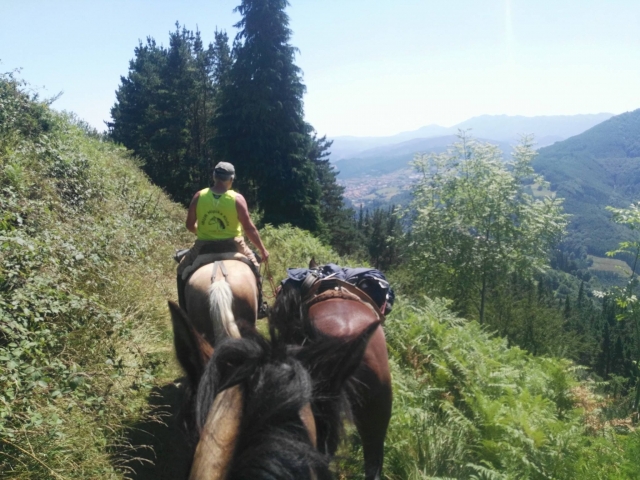  Impresionantes vistas desde el caballo 