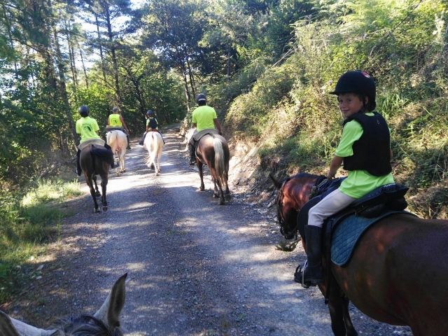 Rutas a caballo 