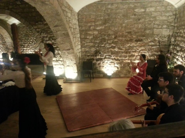 Baile Flamenco en el Palacio