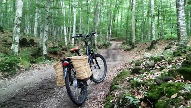Alquila bicis en La Garrocha
