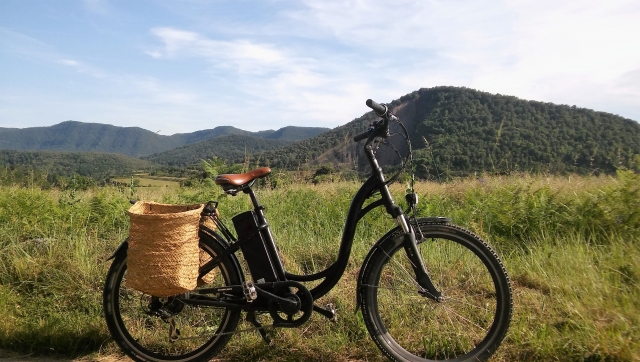 Bicis electricas