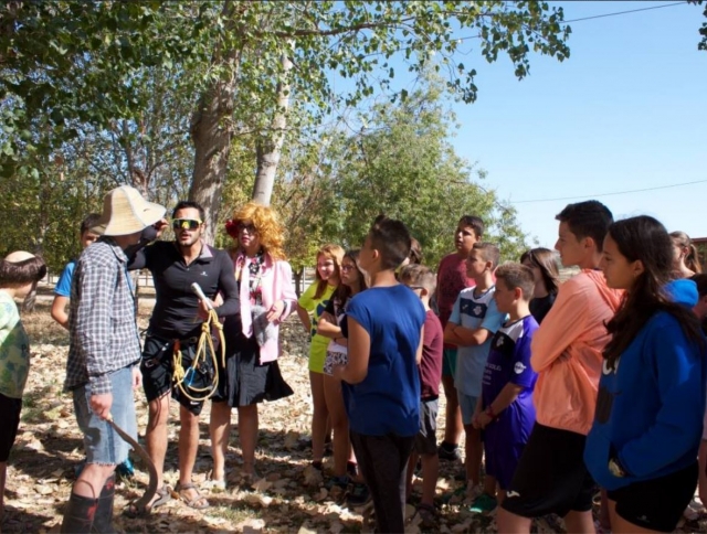  盛装教练的表演 