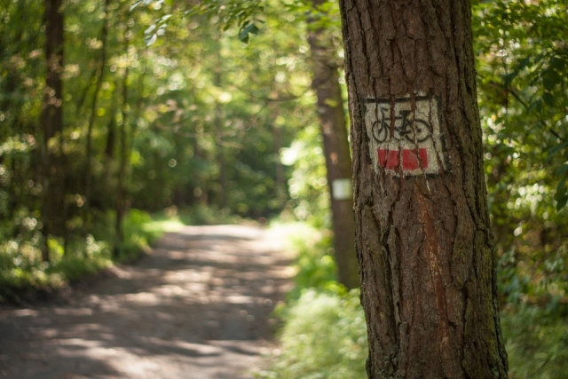 Caminos para bicicletas