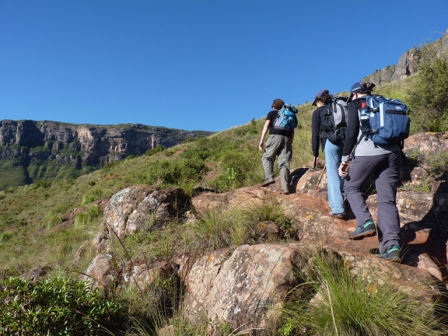 Subiendo a la cima