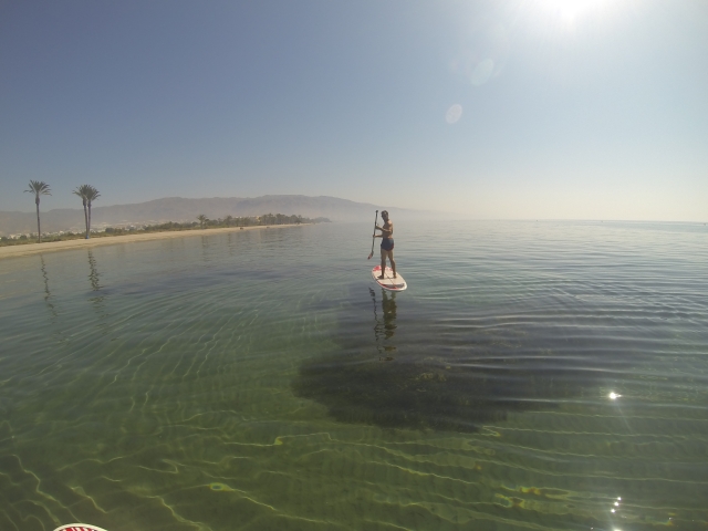 Vistas desde la tabla de paddle surf