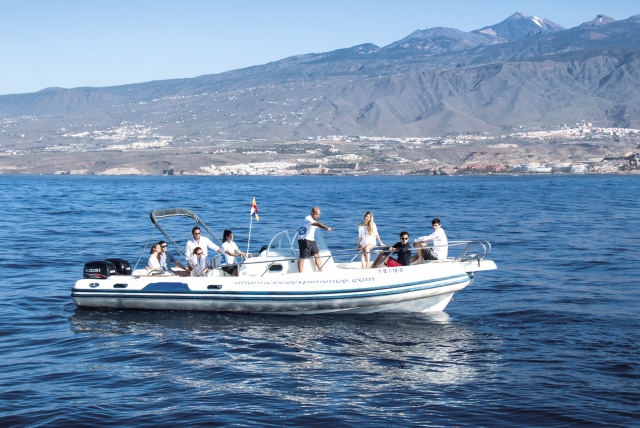 Barco para avistamentos 