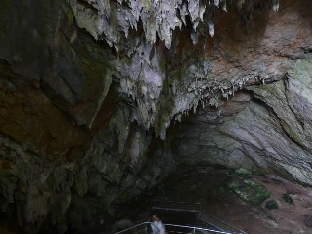  Cova de Mendukilo 