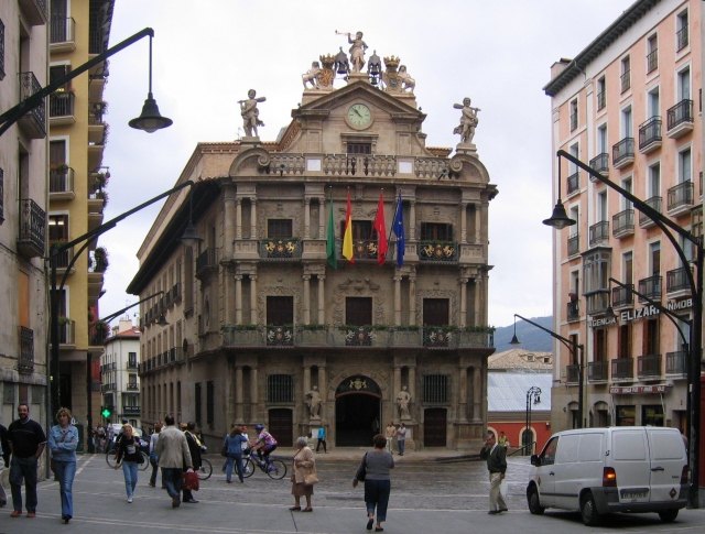  Guided tour in Pamplona 