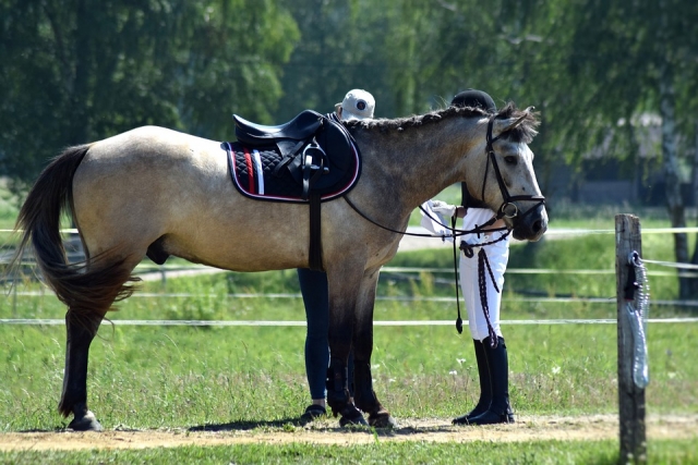 Aprende a montar a caballo