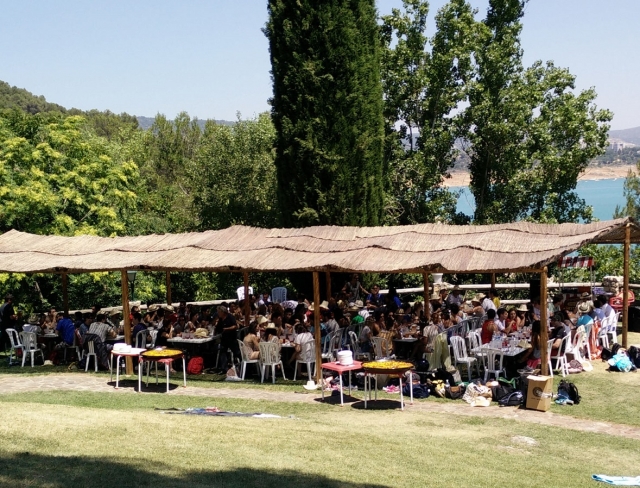 Paellas gigantes