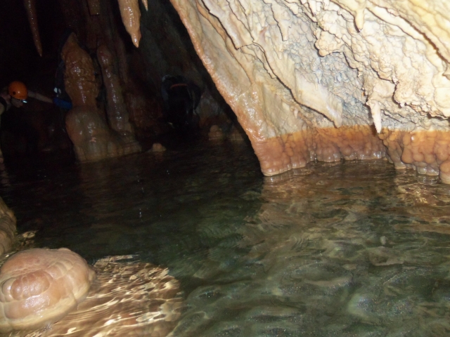  Cueva de Los Organos 