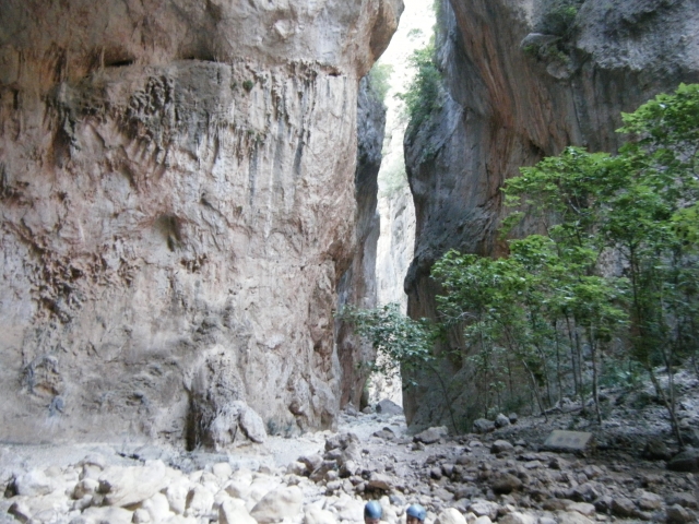 Camicrema
