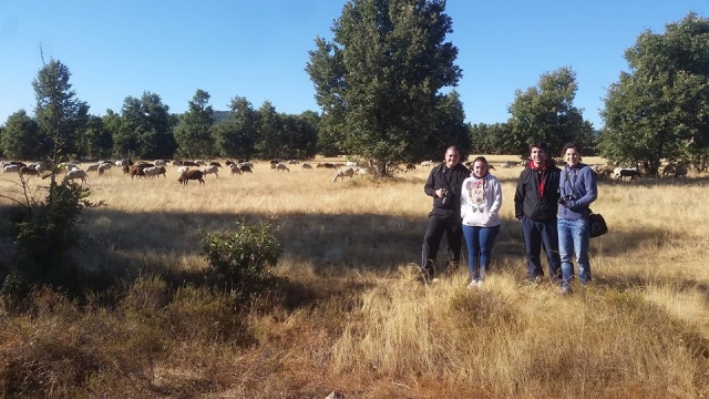 Tour avistamiento fauna