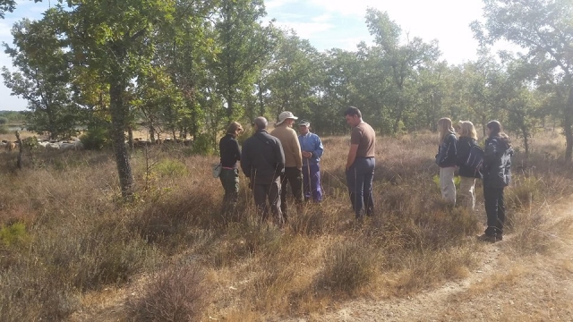 Un paseo por el campo