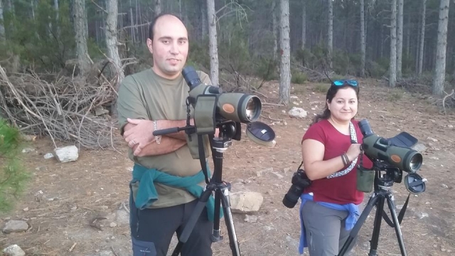 Avistamiento de animales