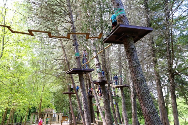 Parque de aventuras con tirolinas y puentes