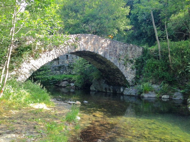  与朋友或家人一起来 