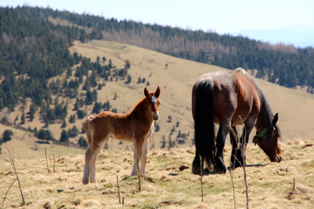  令人印象深刻的风景 