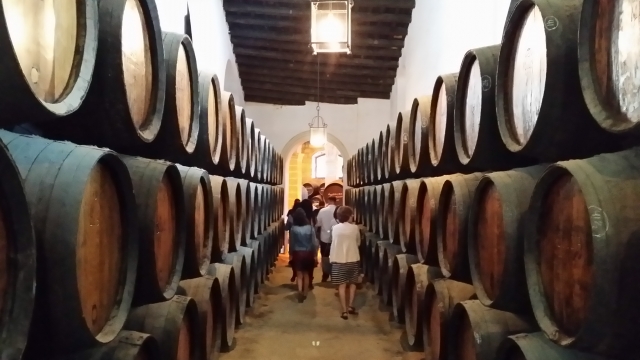 Rutas del vino ecologico