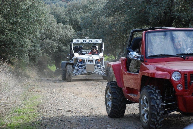 Buggies por el camino de tierra