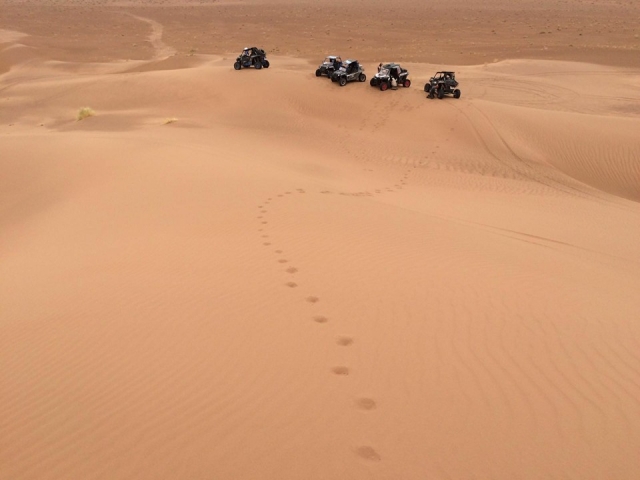  Des excursions en haute altitude 