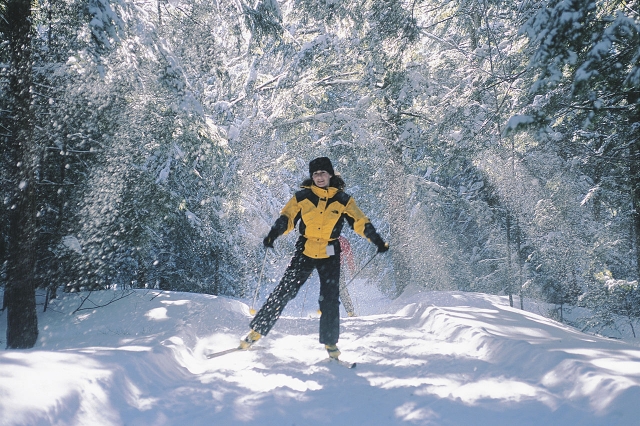 e-19735880-1280px-cross-country-skiing-in-gatineau-park14794688766818.jpg