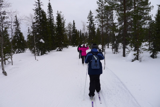 e-19735880-cross-country-skiing-682704210414794688761110.jpg
