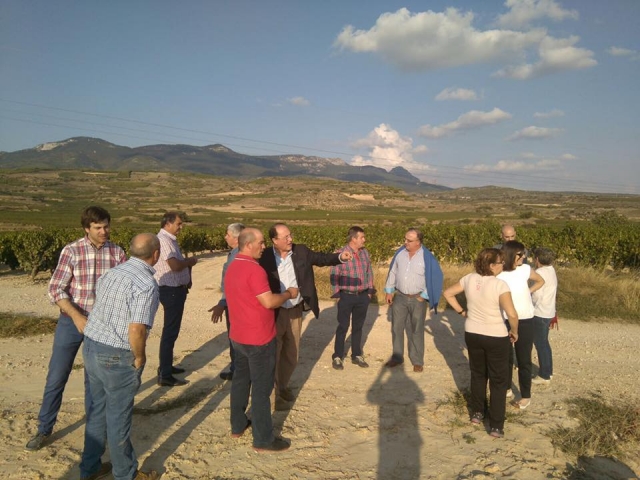  Guided tour of the wineries 