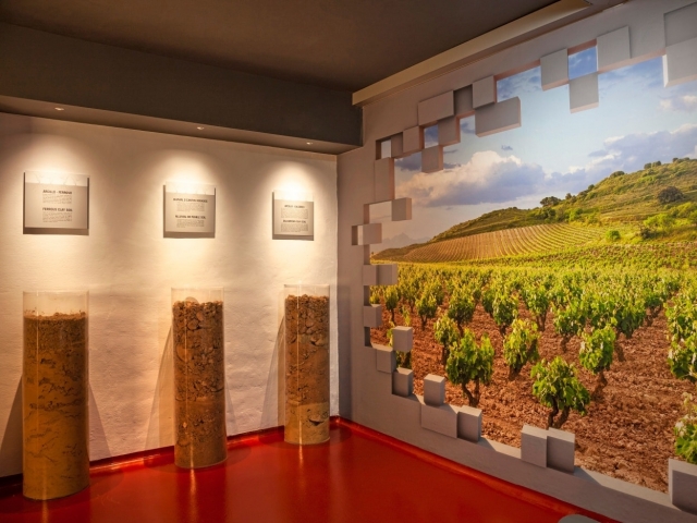 Visita una bodega en La Rioja